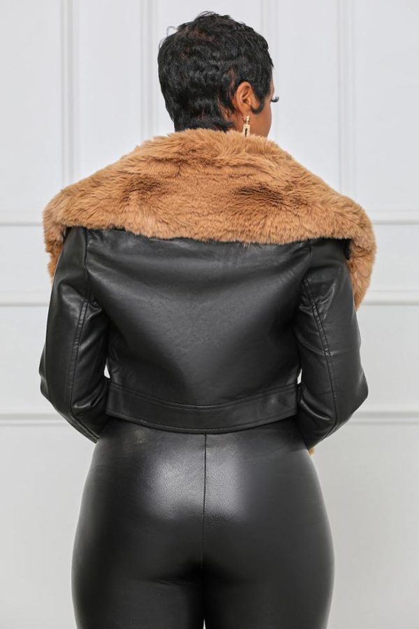 Cygnuscraft.shop1a00e9401d 4