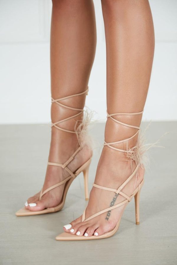 Cygnuscraft.shop54069521ba 1