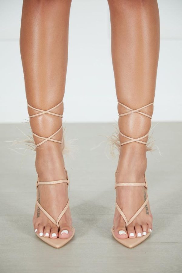 Cygnuscraft.shop54069521ba 2