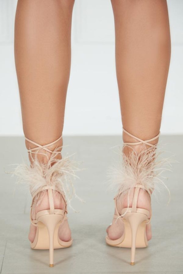 Cygnuscraft.shop54069521ba 4