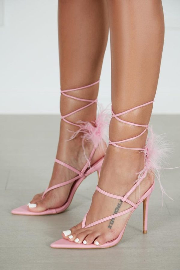 Cygnuscraft.shop67e05d95d8 1