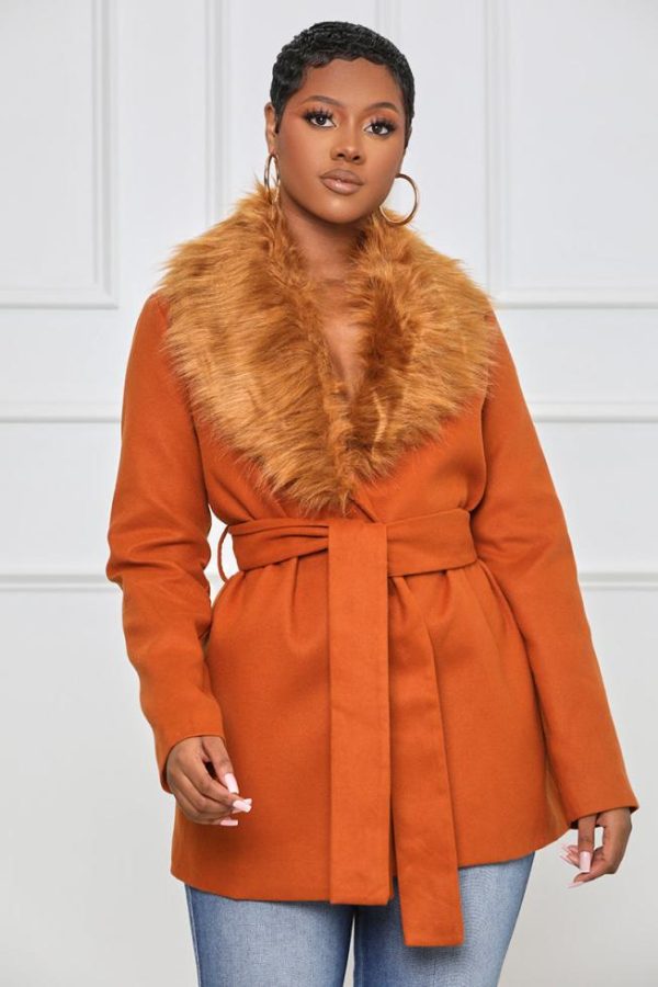 Cygnuscraft.shop78f62cbb9f 2