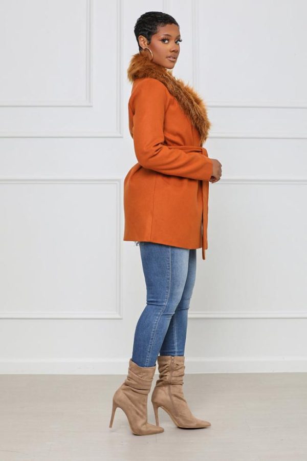 Cygnuscraft.shop78f62cbb9f 3