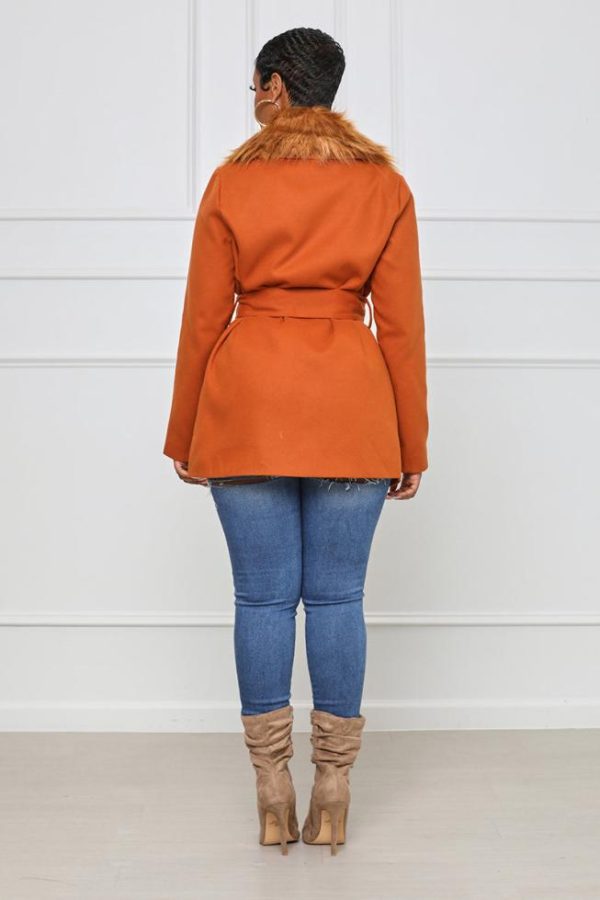 Cygnuscraft.shop78f62cbb9f 4