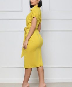 Cygnuscraft.shop95674b5cd0 3