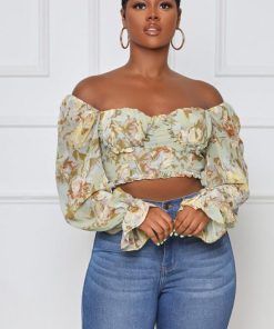 Cygnuscraft.shopa2692a8f6e 1