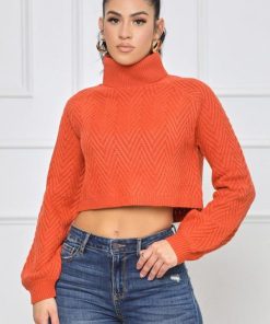 Cygnuscraft.shopcfa66a04c0 1