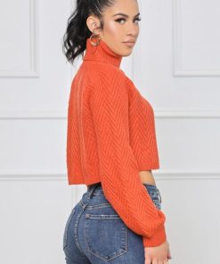 Cygnuscraft.shopcfa66a04c0 5