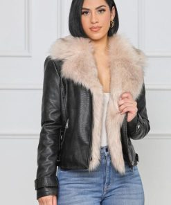 Cygnuscraft.shopcffdcc3e09 3